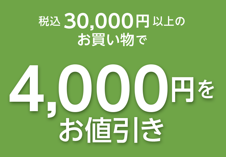税込
30,000円(税込)以上の
お買い物で4,000円をお値引き