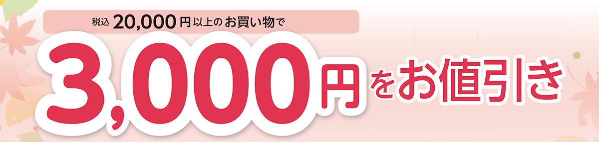 税込20,000円(税込)以上の
お買い物で3,000円をお値引き