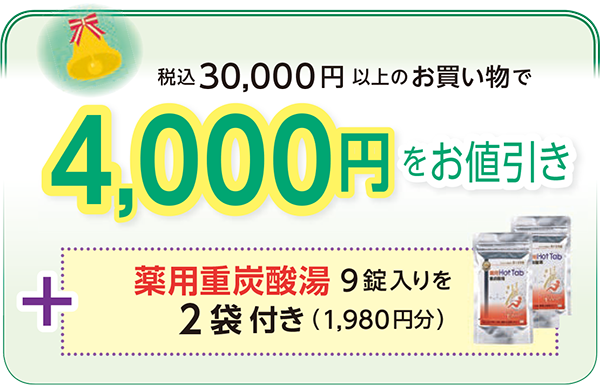 税込
30,000円(税込)以上の
お買い物で4,000円をお値引き
+薬用重炭酸湯9 錠入りを2 袋付き(1,980円分)