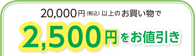 税込20,000円(税込)以上の
お買い物で2,500円をお値引き