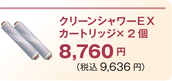 クリーンシャワーEXカートリッジ× 2 個8,760 円 (税込9,636 円)