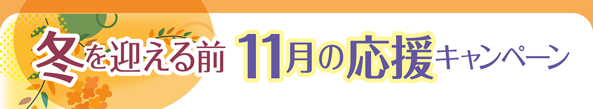 冬を迎える前11月の応援キャンペーン