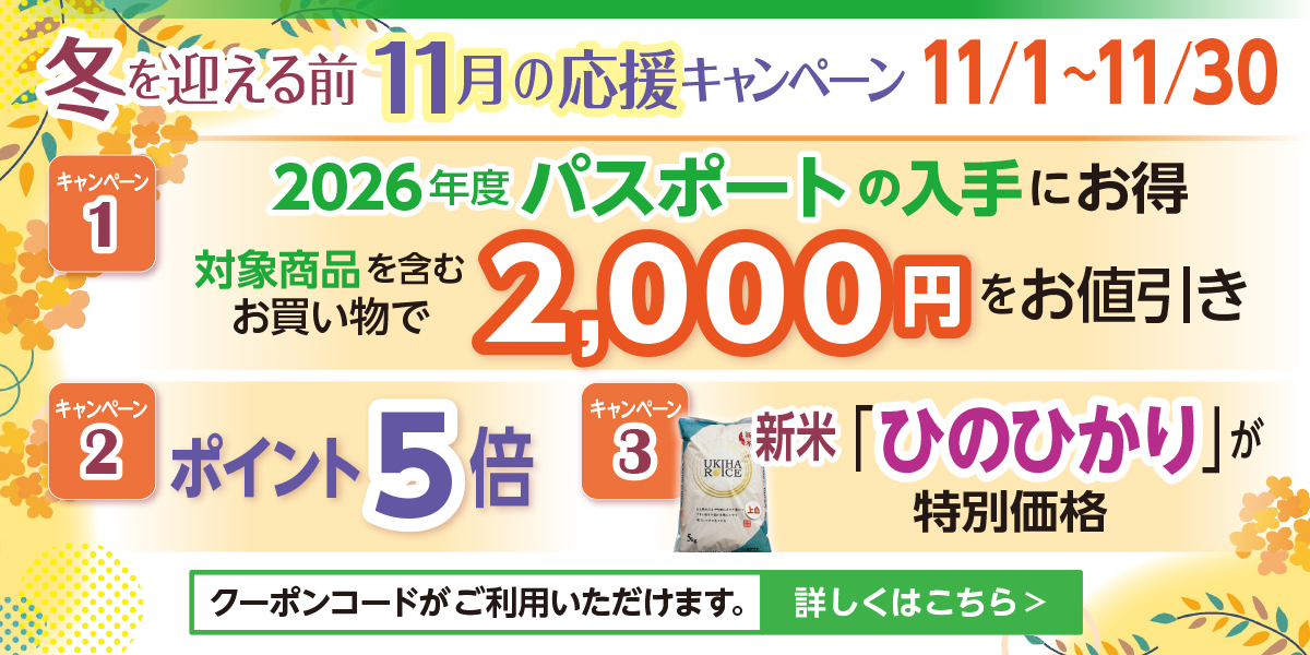 今月の特別キャンペーン