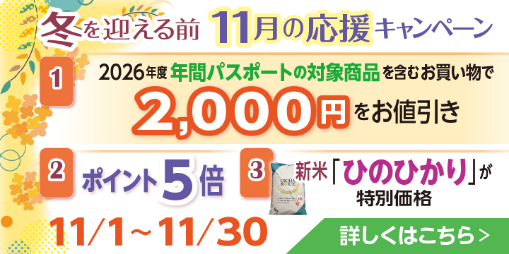 今月のキャンペーン