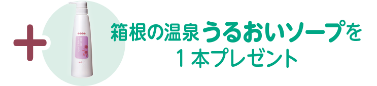 +箱根の温泉うるおいソープ（1,166円）を1 本プレゼント