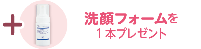 +洗顔フォーム（2,464円）を1 本プレゼント
