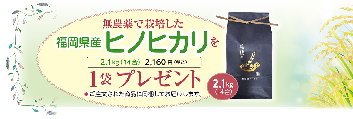 無農薬で栽培した福岡県産ヒノヒカリを1袋プレゼント 2.1kg（14合） 2,160 円（税込）