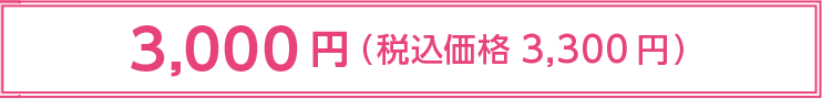 3,000 円(税込価格 3,300 円)